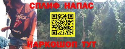 прущие грибы Краснознаменск