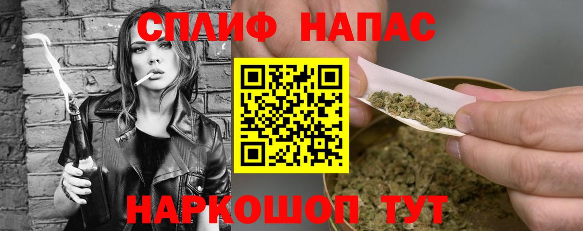 Конопля конопля Кинель